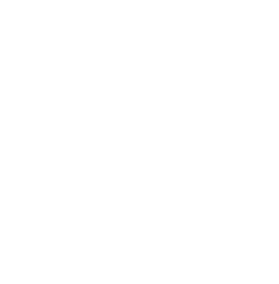 Alice Medya